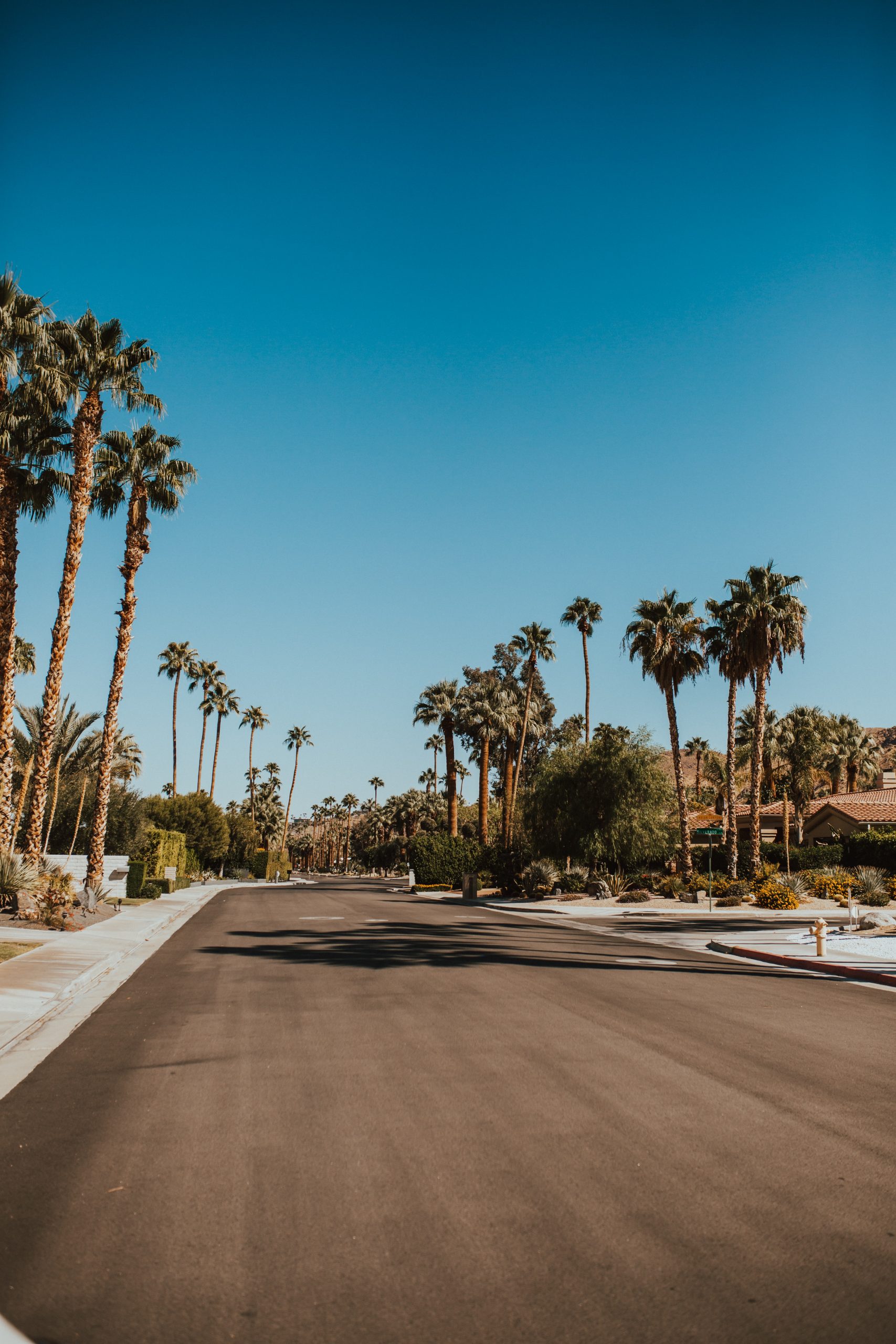 A street in South Palm Springs
