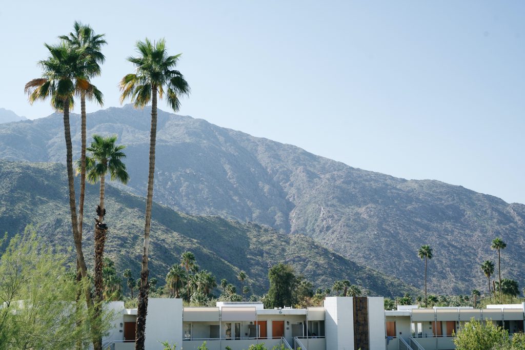 Mountains over Midcentury House