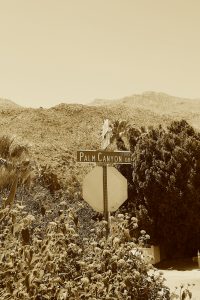 Palm Canyon Sign